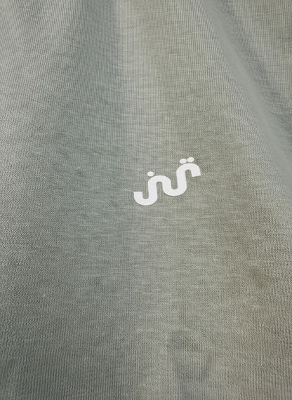 Men's Mint Green T-shirt